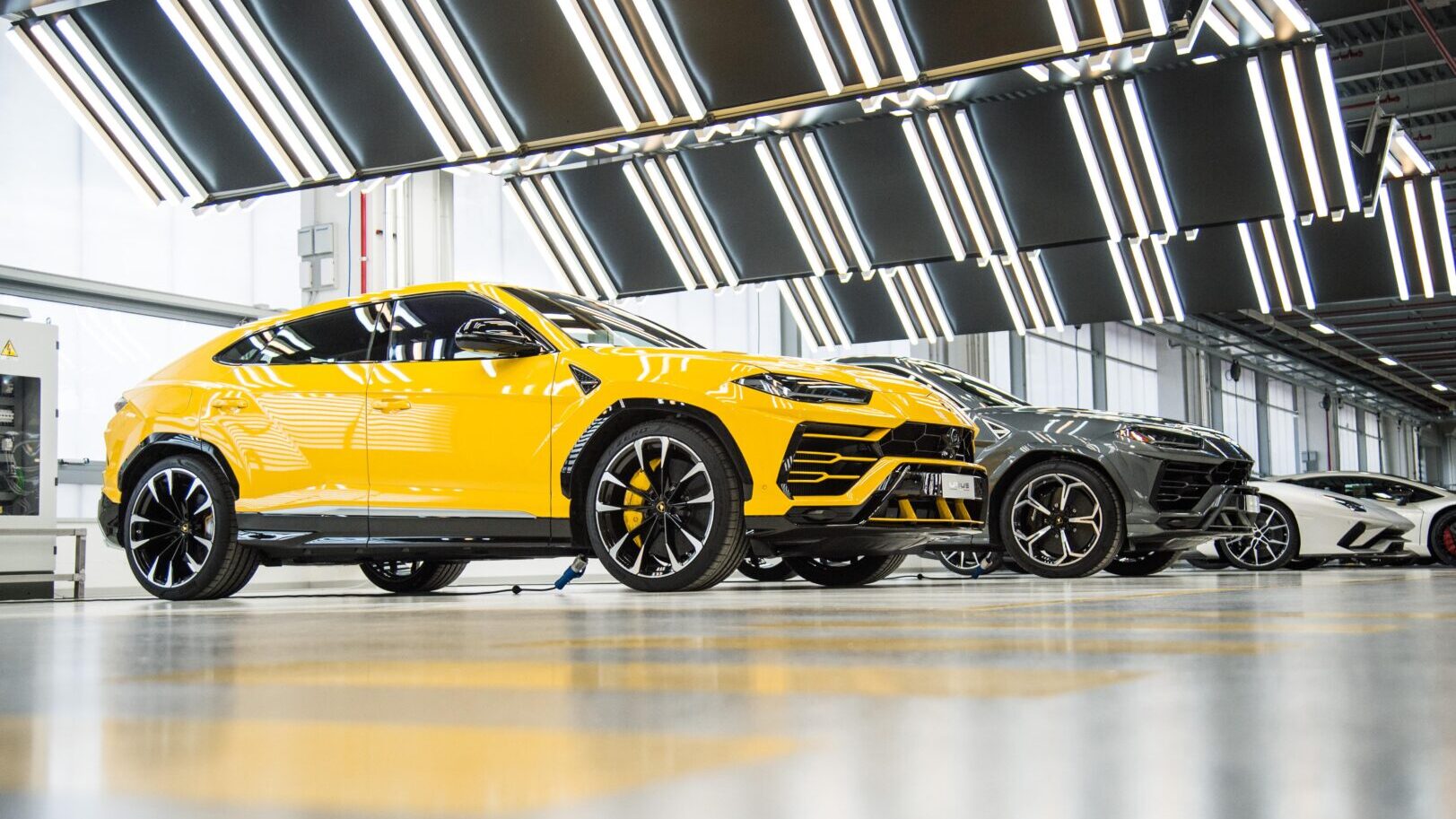 Side view of Lamborghini Urus Parked Alongside Other Models