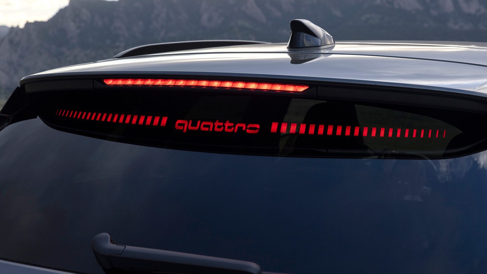Q5 Roof fin